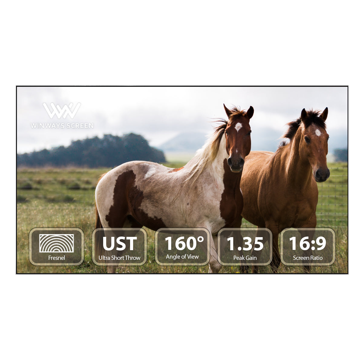 WINWAYS UST Throw ALR 120'' Fixed Frame Fresnel Screen