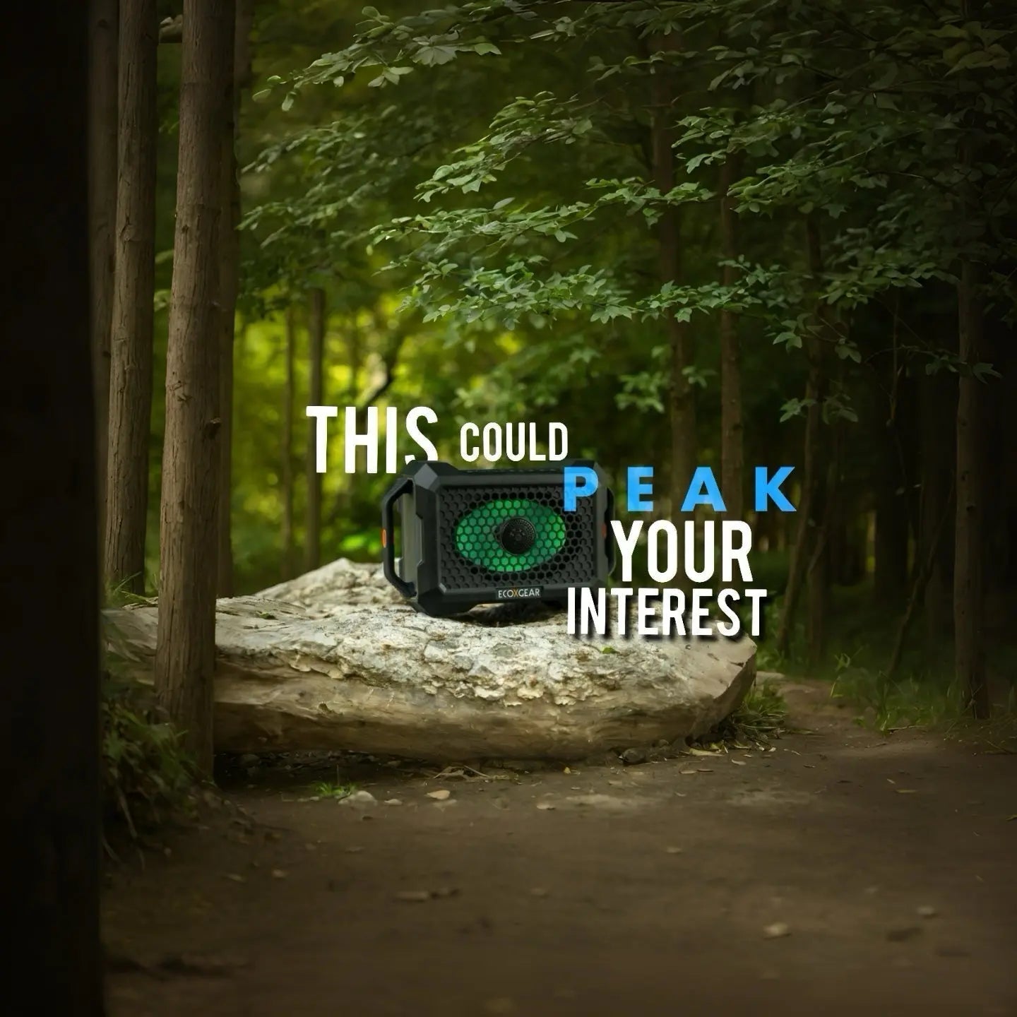 This Could Peak Your Interest: The ECOXGEAR Defender Peak Audio & Visual