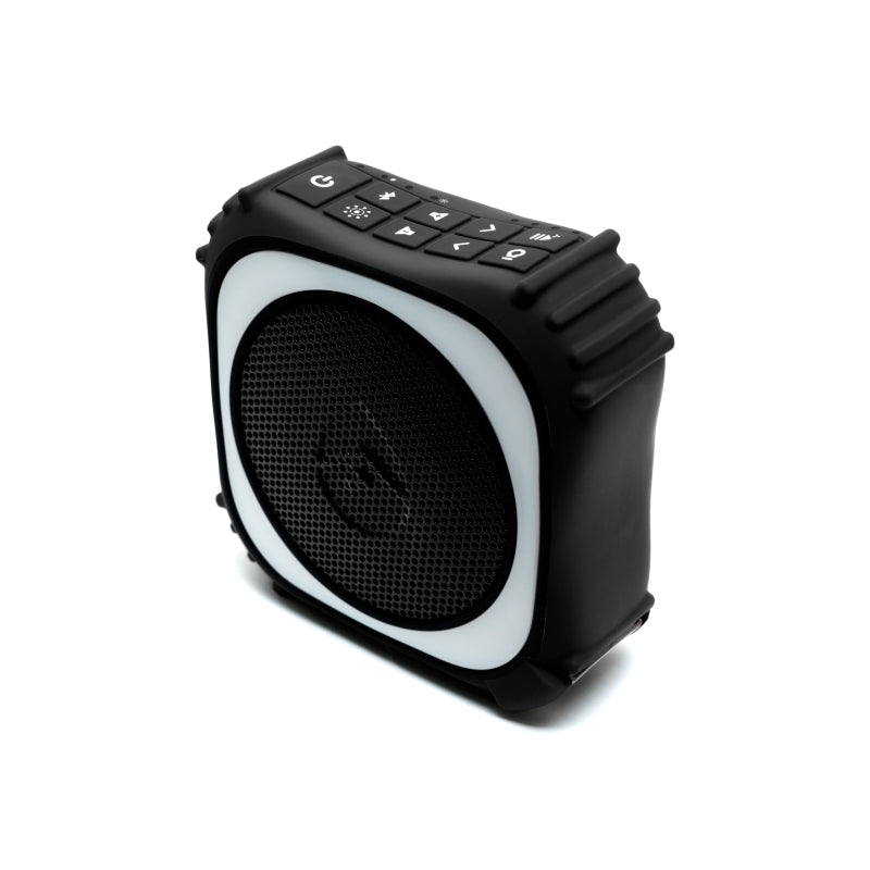 ECOXGEAR EcoEdge Pro 20-Watt RGB Waterproof Party Speaker (Black/Blue)
