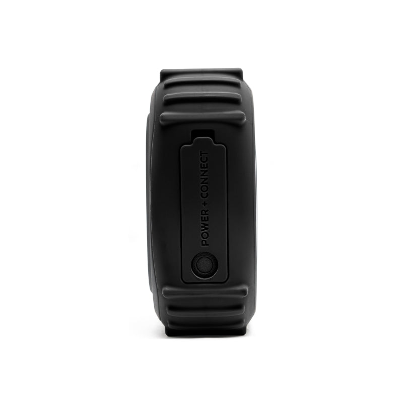 ECOXGEAR EcoEdge Pro 20-Watt RGB Waterproof Party Speaker (Black/Blue)