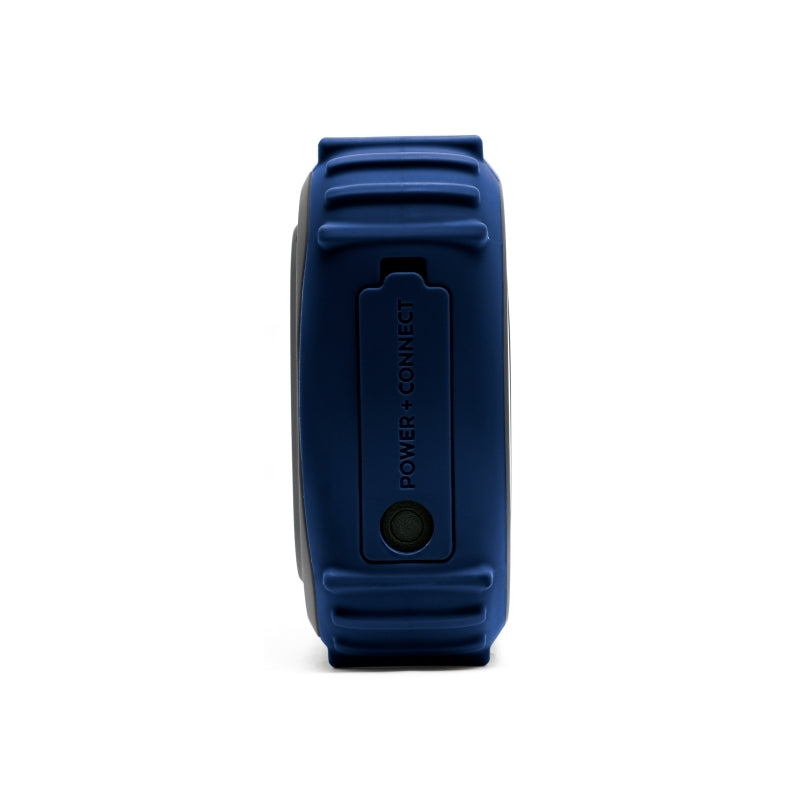 ECOXGEAR EcoEdge Pro 20-Watt RGB Waterproof Party Speaker (Black/Blue)