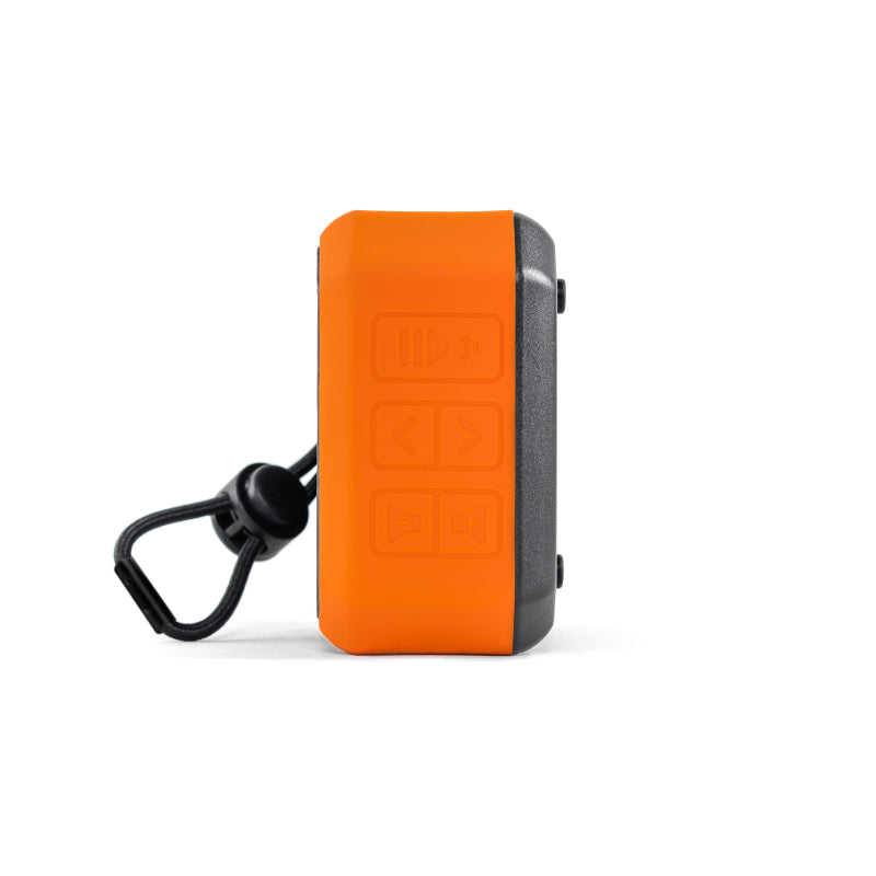 ECOXGEAR EcoPebble Lite 3-Watt Mini Waterproof Party Speaker (Orange/Mint/Black)