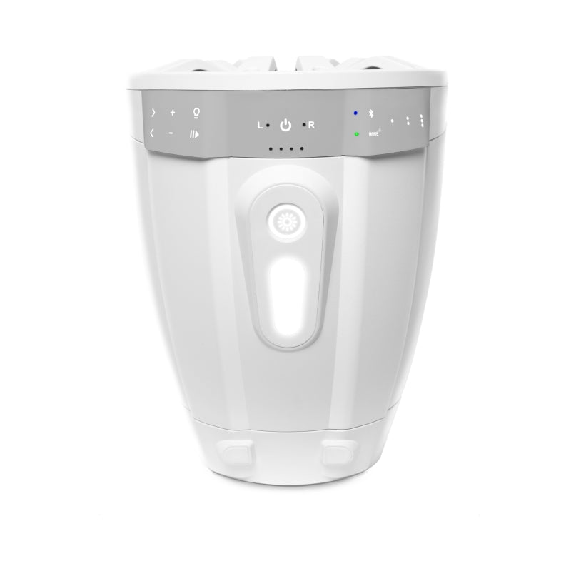ECOXGEAR ETA08 2-Pack 8 Inch Marine Amplified Speakers (White/Black)