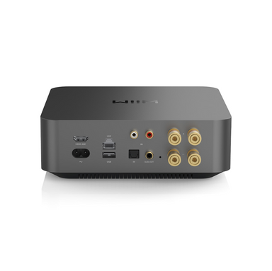 WIIM Amp PRO Multiroom Stereo Streaming Amplifier WiiM